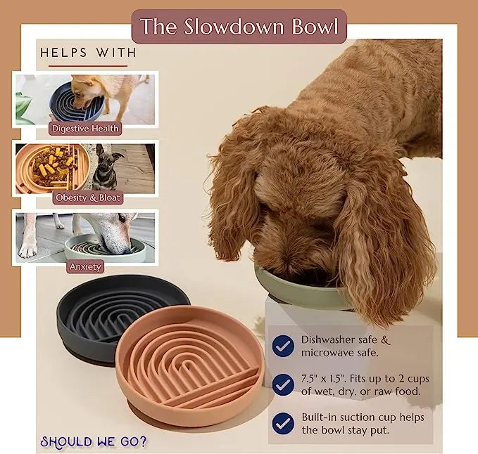 Slow Feeder Pet Bowl – Anti-Slip & Anti-Choking for Cats & Puppies 🐾🍽️