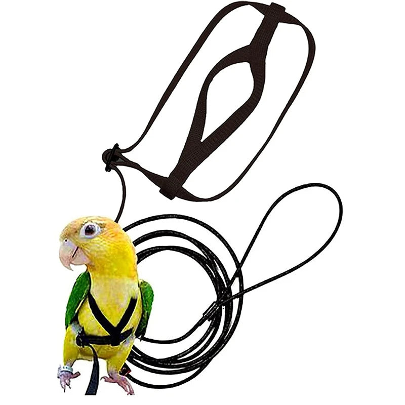 Bird Flying Training Leash – Anti-Bite Parrot Harness & Traction Rope