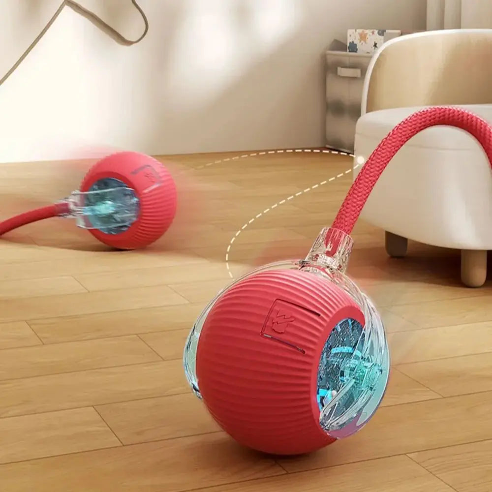 Smart Rolling Cat Toy – Rechargeable Ball with Faux Tail & Mouse Simulation