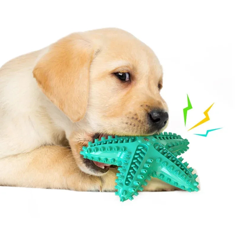 Soundmaking Starfish Dog Toy – Durable, Bite-Resistant, Teeth Cleaning & Treat Dispensing Toy