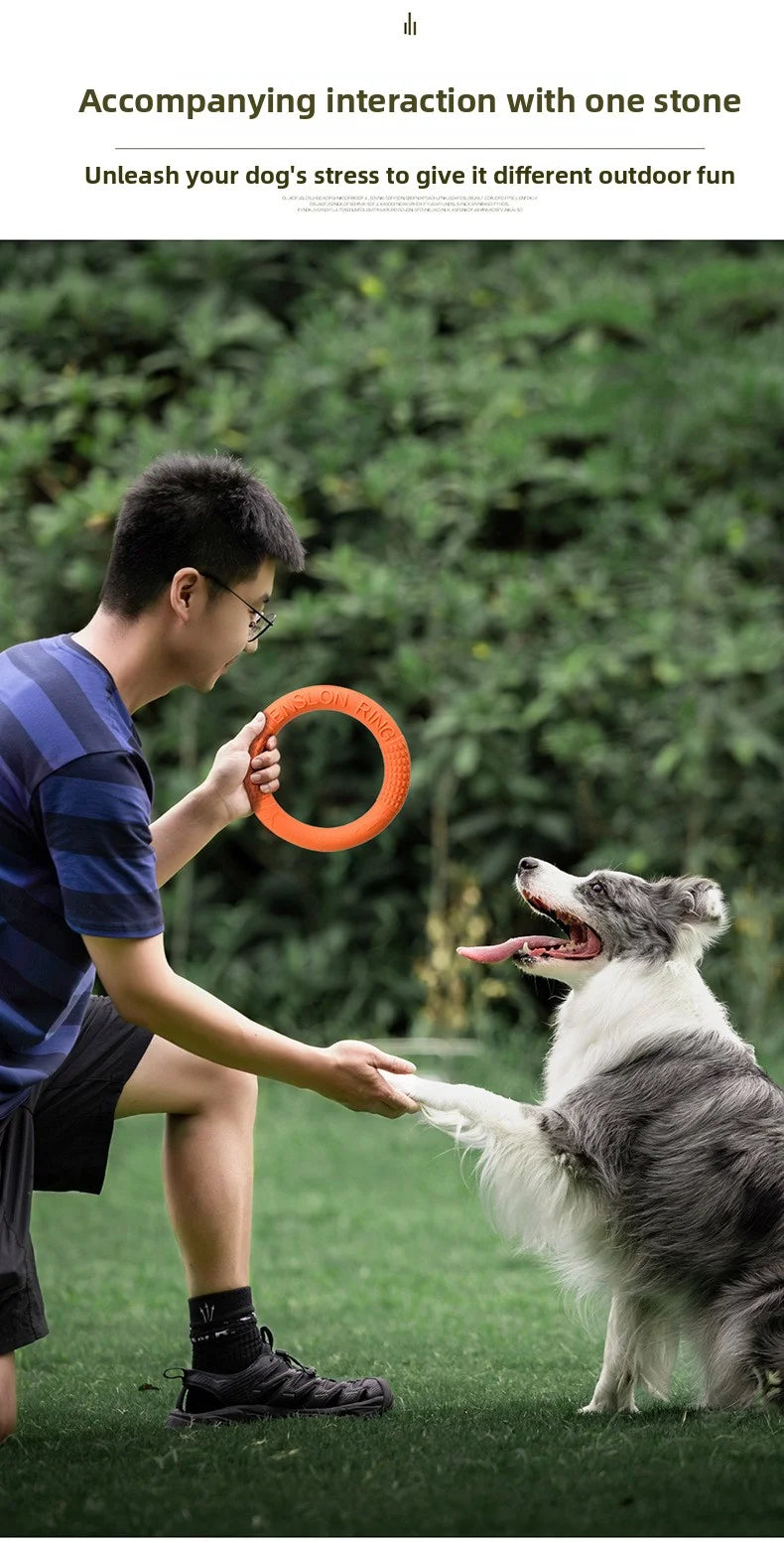 Dog Flying Disk Training Ring – Floating TPR Toy 🥏🐾