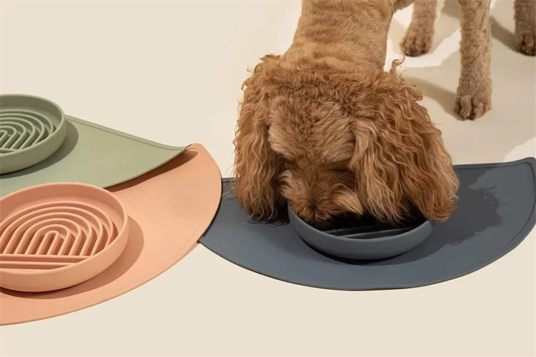 Slow Feeder Pet Bowl – Anti-Slip & Anti-Choking for Cats & Puppies 🐾🍽️