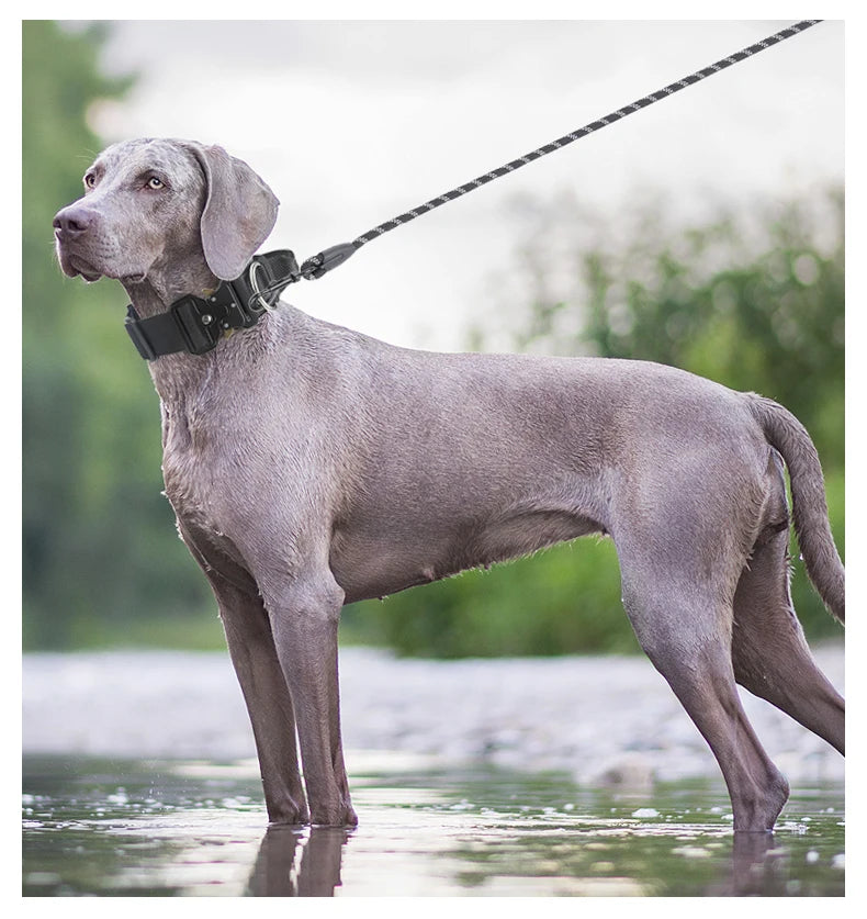 Tactical Dog Collar – Durable Outdoor Collar with Rugged Zinc Alloy Buckle & Soft Lining for Medium & Large Dogs