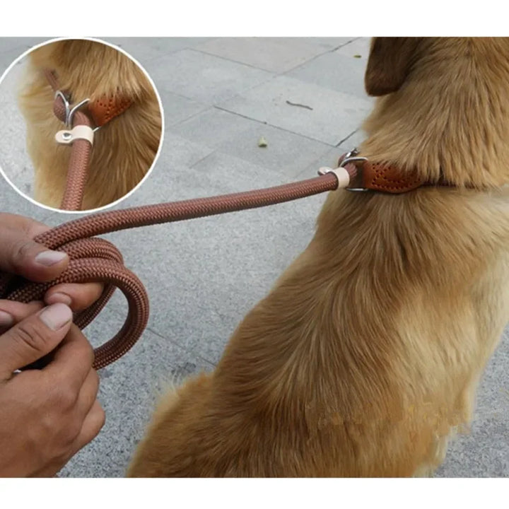 Heavy Duty Slip Rope Dog Leash – Adjustable Braided Training Lead