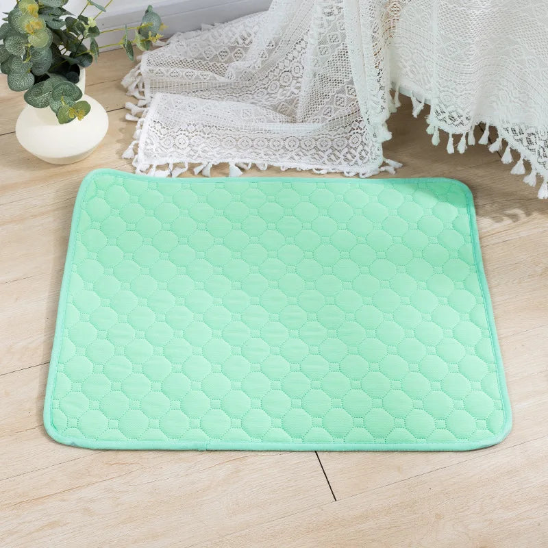Reusable Dog Pee Pad Blanket – Washable Absorbent Puppy Training Pad & Pet Bed Urine Mat for Car Seat Protection