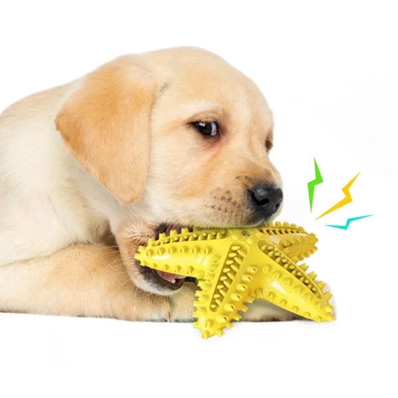 Soundmaking Starfish Dog Toy – Durable, Bite-Resistant, Teeth Cleaning & Treat Dispensing Toy