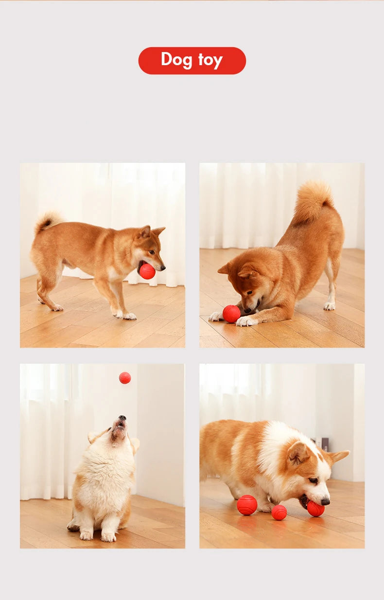 Indestructible Rubber Dog Ball – Durable Bouncy Chew Toy ⚽🐾