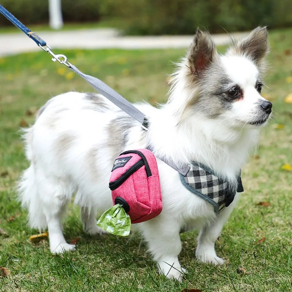 Portable Dog Training Treat Pouch – Outdoor Dog Snack Bag with Waist Strap & Poop Bag Holder