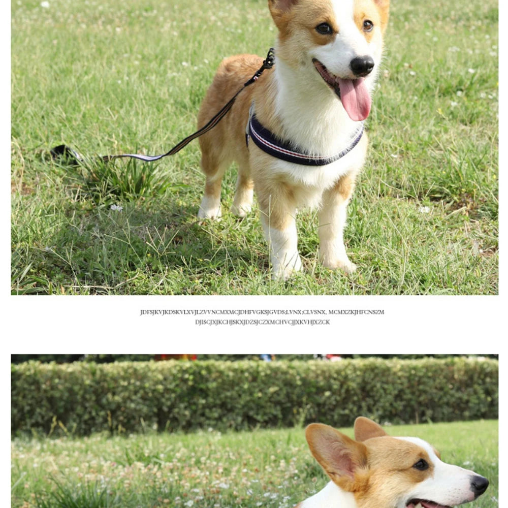 🐾 Vest Style Dog Harness & Leash Set – Adjustable Chest Strap for Small & Medium Dogs