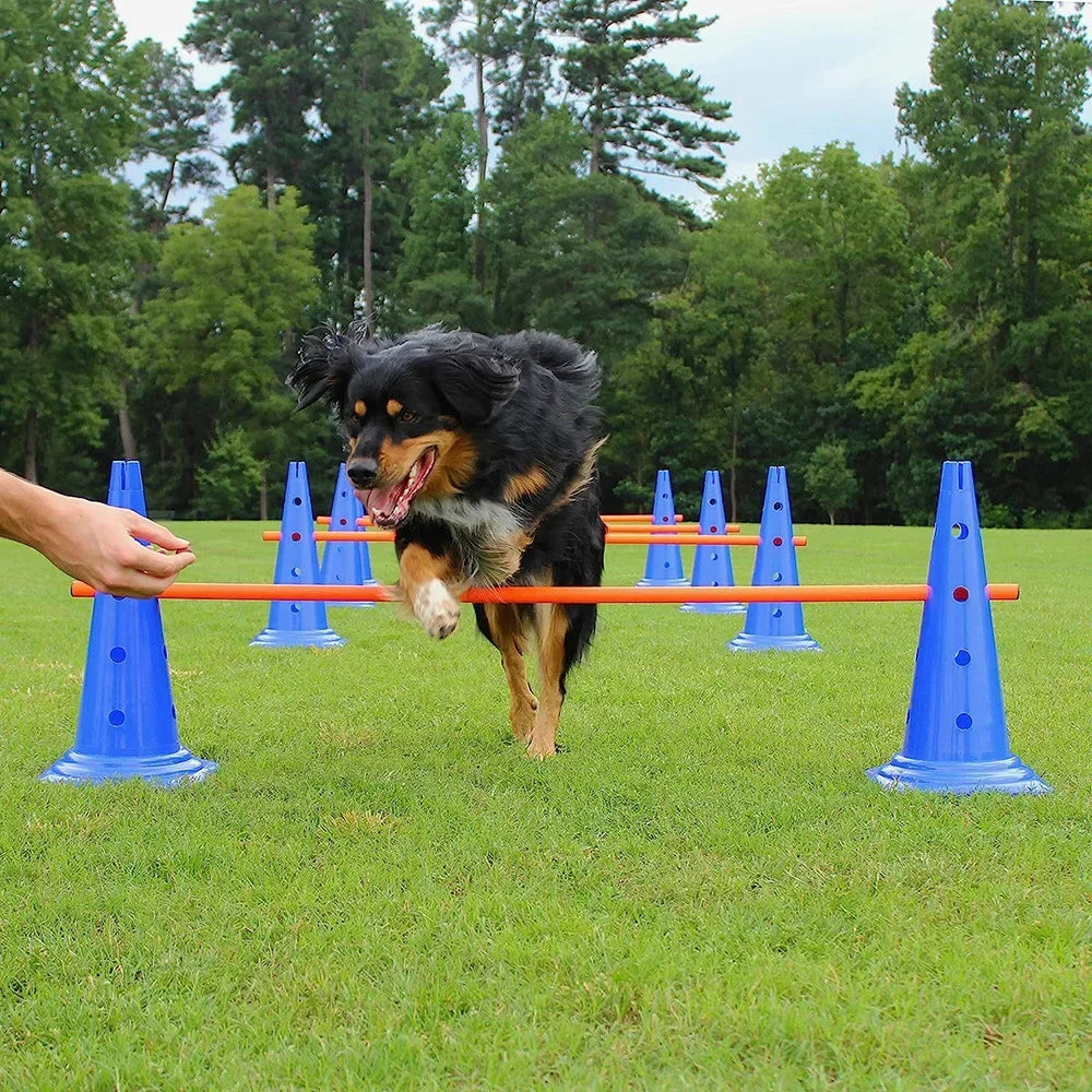 Dog Agility Training Equipment Set – Jumping Bar & Obstacle Course for Pet Exercise & Obedience Training