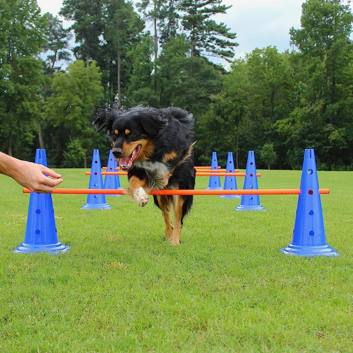 Dog Agility Training Equipment Set – Jumping Bar & Obstacle Course for Pet Exercise & Obedience Training