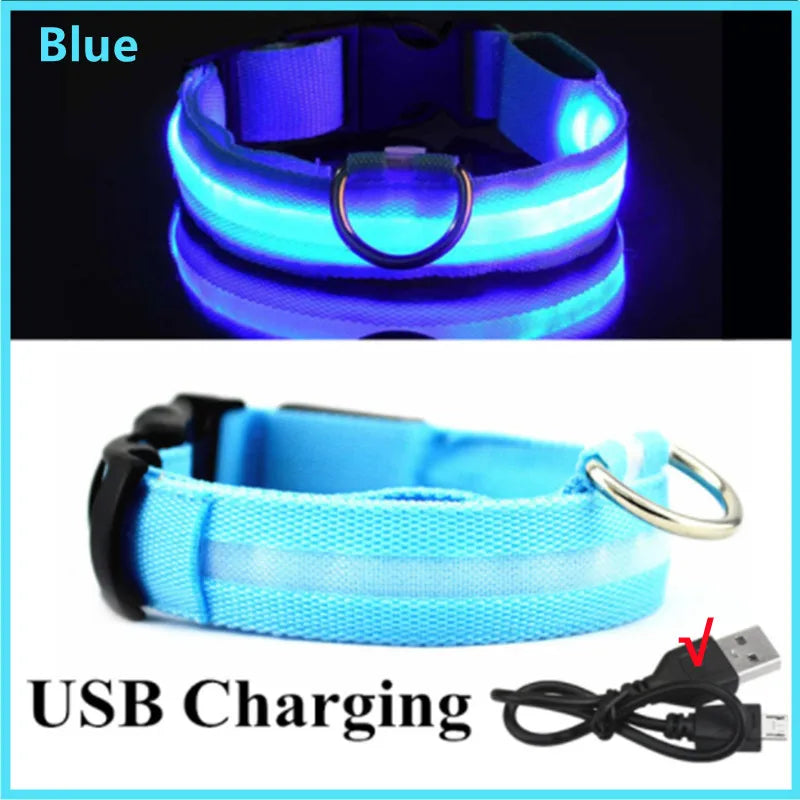 USB Rechargeable LED Glowing Pet Collar – Adjustable Night Light Safety Collar for Dogs & Cats