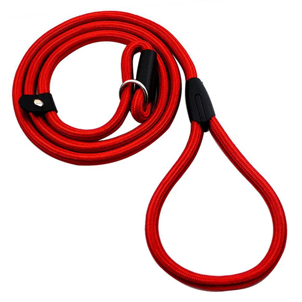 Slip Lead Dog Leash for Small Dogs – Anti-Choking P-Shaped Rope Leash for Puppy Training & Walking