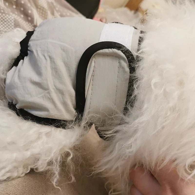 Reusable Pet Diapers – Washable Sanitary Pants for Female Dogs & Male Cats