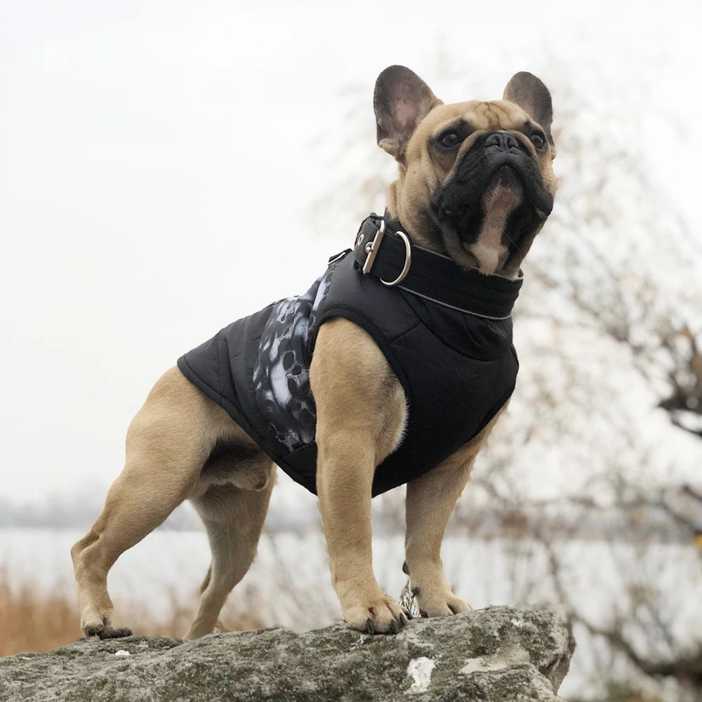 Winter Warm Dog Jacket – Windproof Pet Coat for Small Dogs, Chihuahua, French Bulldog, Yorkie