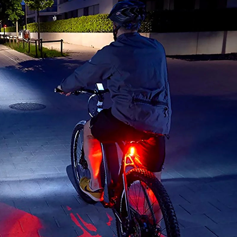 USB Rechargeable LED Pet Collar Pendant – Safety Light for Dogs & Cats, Night Walking Accessory