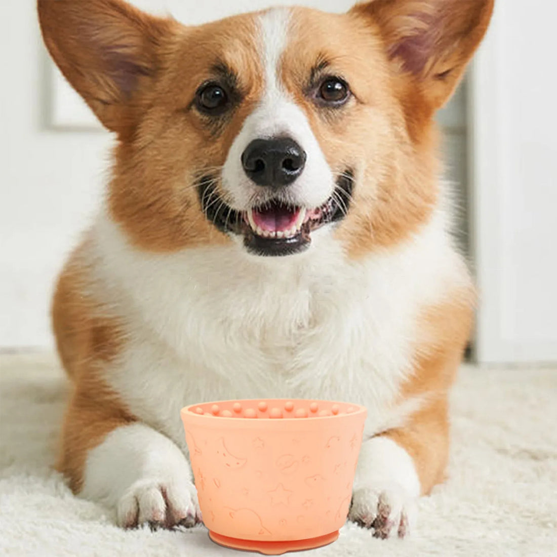 Dog Licking Mat Bowl – Anxiety Relief Slow Feeder Treat Dispenser, Freezer-Safe & Non-Slip Silicone Mat for Dogs