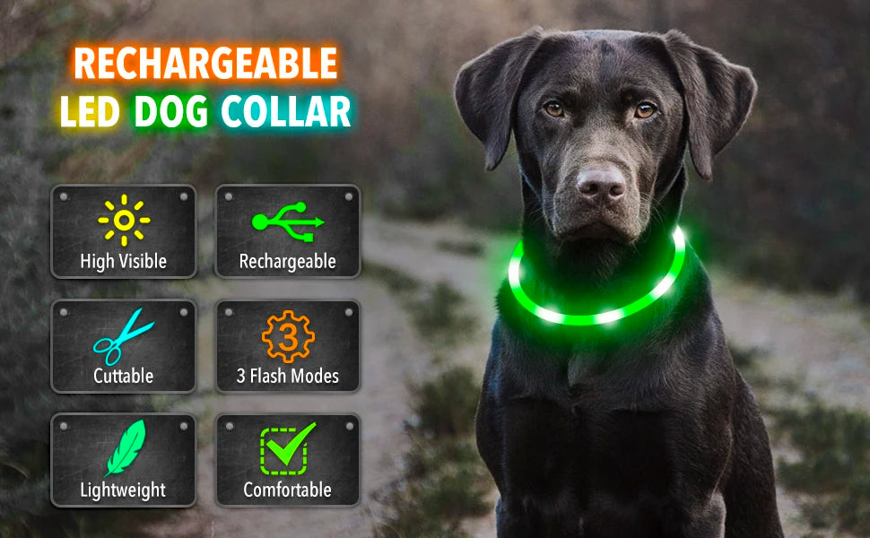 USB Rechargeable LED Glowing Pet Collar – Adjustable Night Light Safety Collar for Dogs & Cats