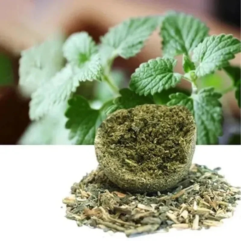 10pcs Natural Mint Catnip Balls – Healthy Toy & Snack for Cats