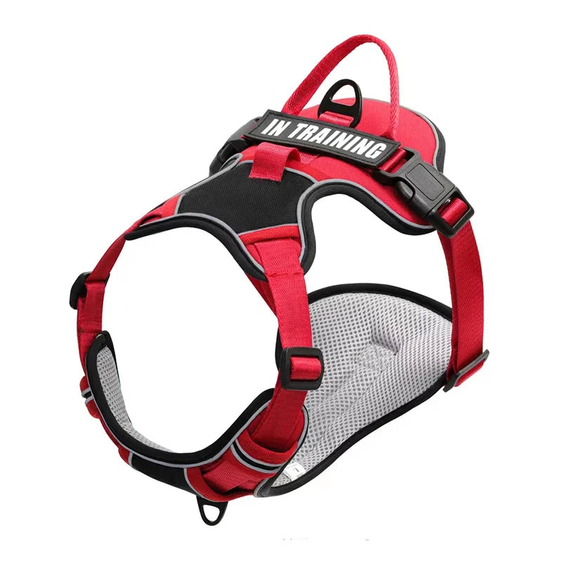 🐾 Personalized Nylon Adjustable Dog Harness – Reflective, Breathable Vest with Leash for Small, Medium & Large Dogs