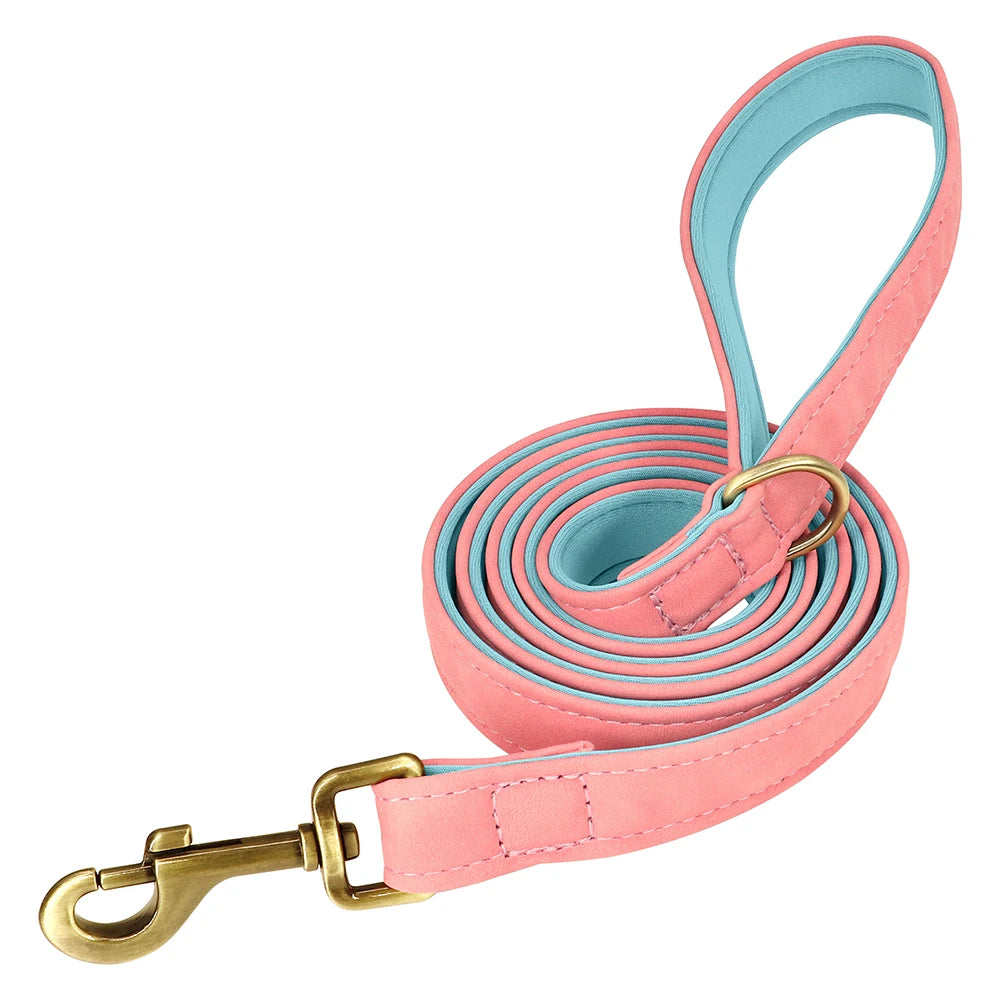 Custom Leather Dog Collar & Leash Set – Soft Padded with Engraved Nameplate