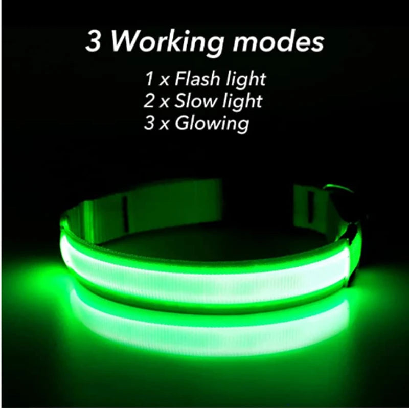 USB Rechargeable LED Glowing Pet Collar – Adjustable Night Light Safety Collar for Dogs & Cats