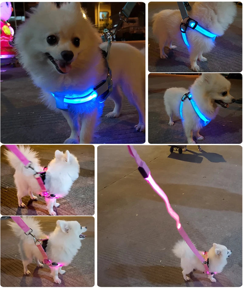 🐾 Multifunctional Reflective Dog Harness – Outdoor Training & Comfort Vest for Medium & Large Dogs