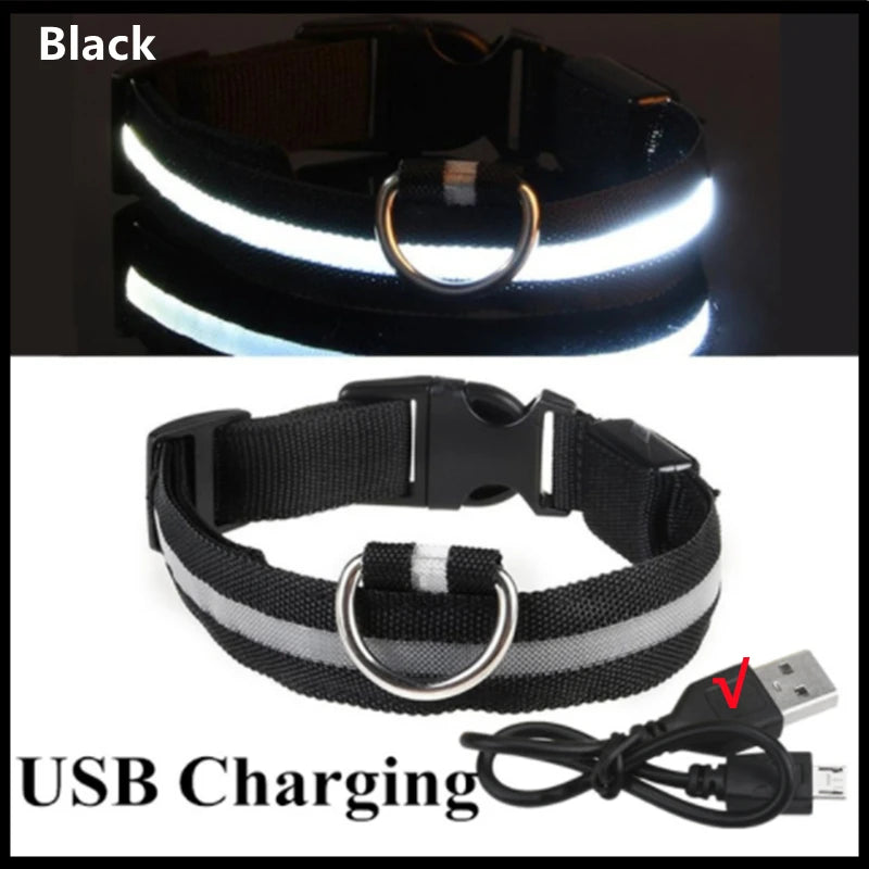 USB Rechargeable LED Glowing Pet Collar – Adjustable Night Light Safety Collar for Dogs & Cats