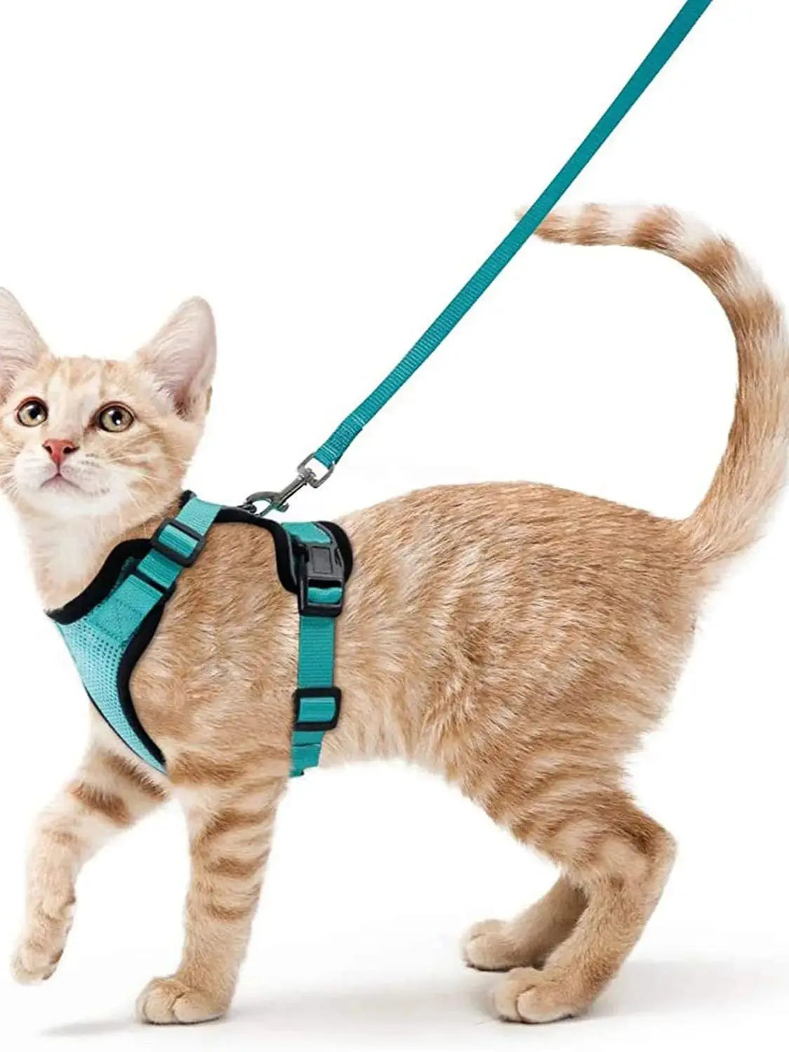 Cat Harness and Leash – Escape-Proof Soft Adjustable Vest with Easy Control