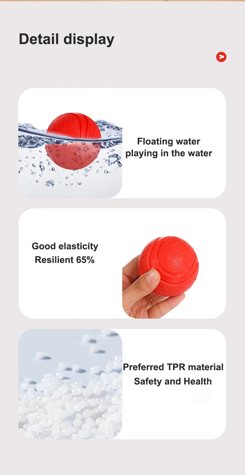 Indestructible Rubber Dog Ball – Durable Bouncy Chew Toy ⚽🐾