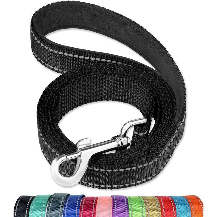 Reflective Dog Leash with Soft Padded Handle – High-Visibility Training Lead