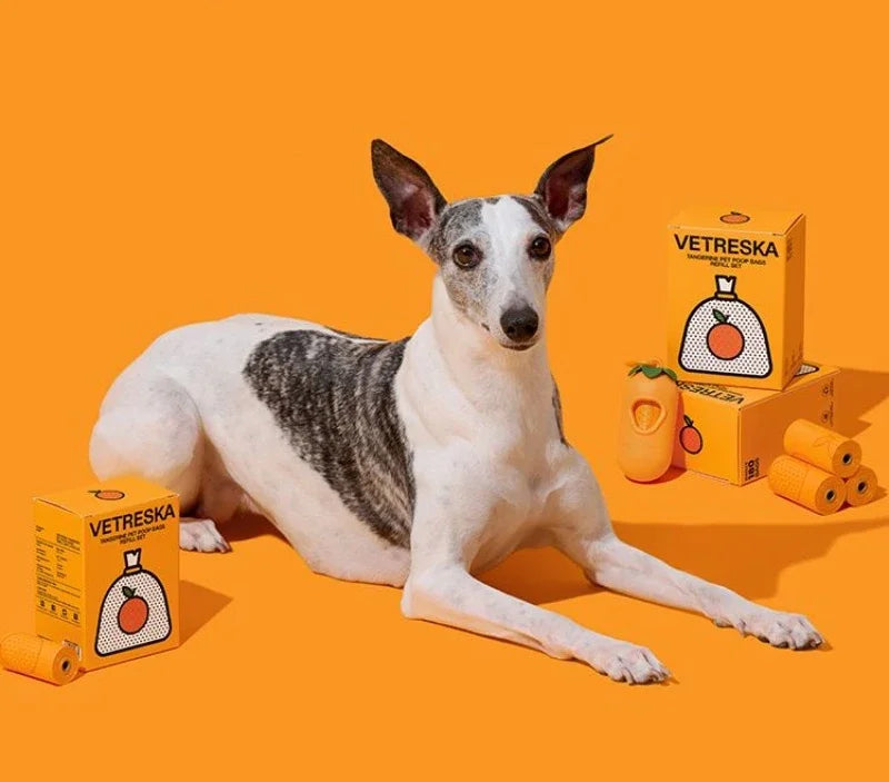 Orange Scented Dog Poop Bags – Degradable Waste Bags with Portable Dispenser for Dog Walking & Cleanup