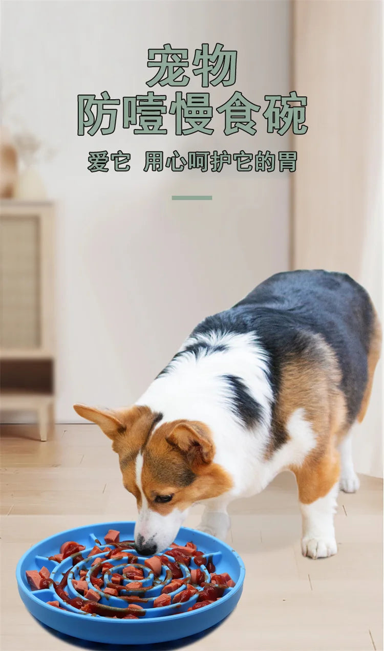 Slow Feeder Pet Bowl – Anti-Slip & Anti-Choking for Cats & Puppies 🐾🍽️