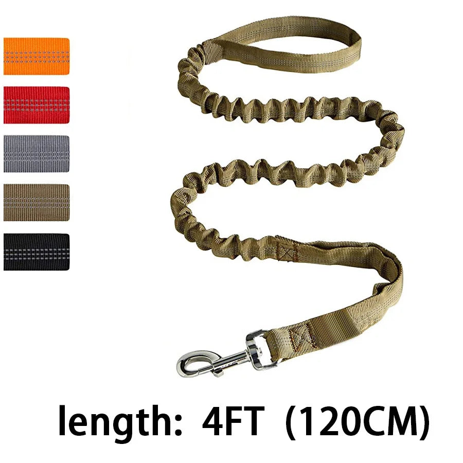 Bungee Dog Leash for Large Dogs – Heavy Duty, Shock-Absorbing, No-Pull Lead