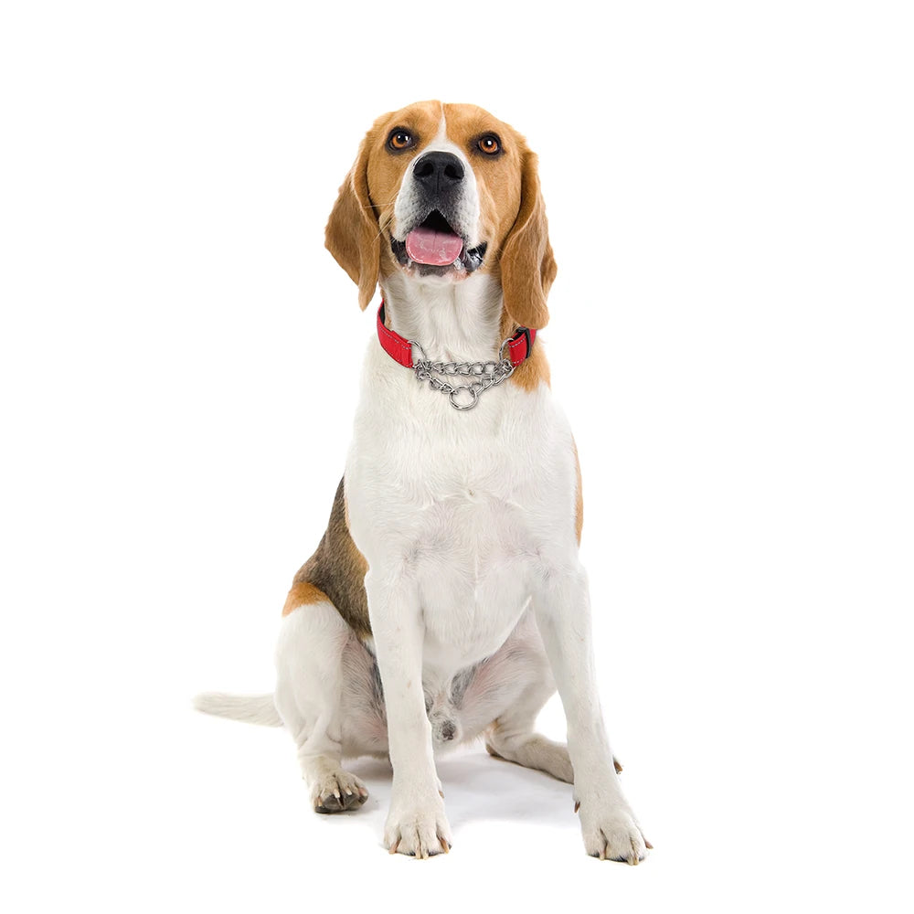 Stainless Steel Chain Martingale Collar – Reflective Pet Collar for Dogs