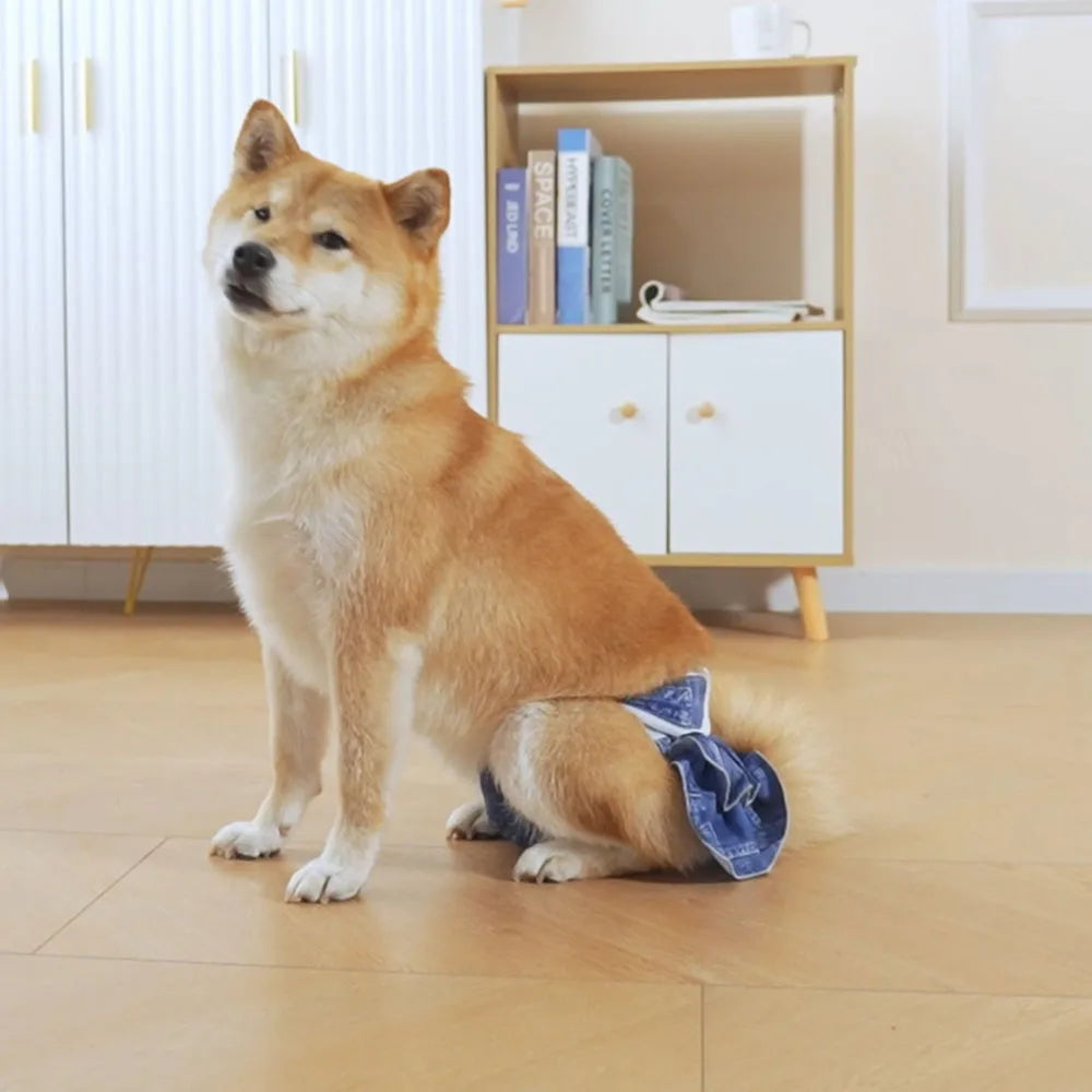 Reusable Female Dog Diapers – Washable, Highly Absorbent Doggie Diaper Shorts for Girl Dogs in Heat & Incontinence