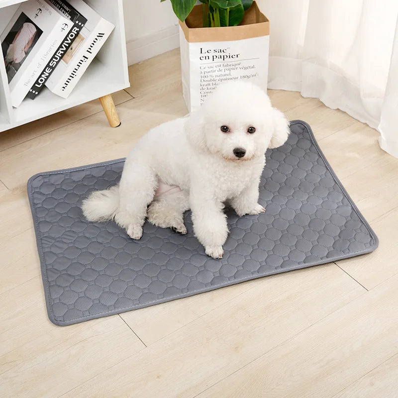 Reusable Dog Pee Pad Blanket – Washable Absorbent Puppy Training Pad & Pet Bed Urine Mat for Car Seat Protection