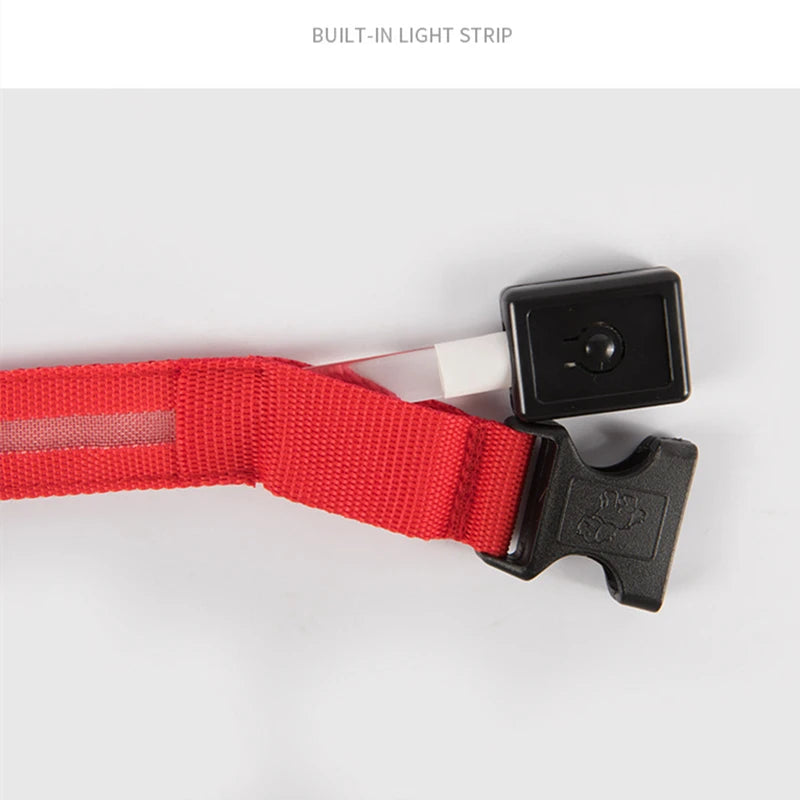 USB Rechargeable LED Glowing Pet Collar – Adjustable Night Light Safety Collar for Dogs & Cats