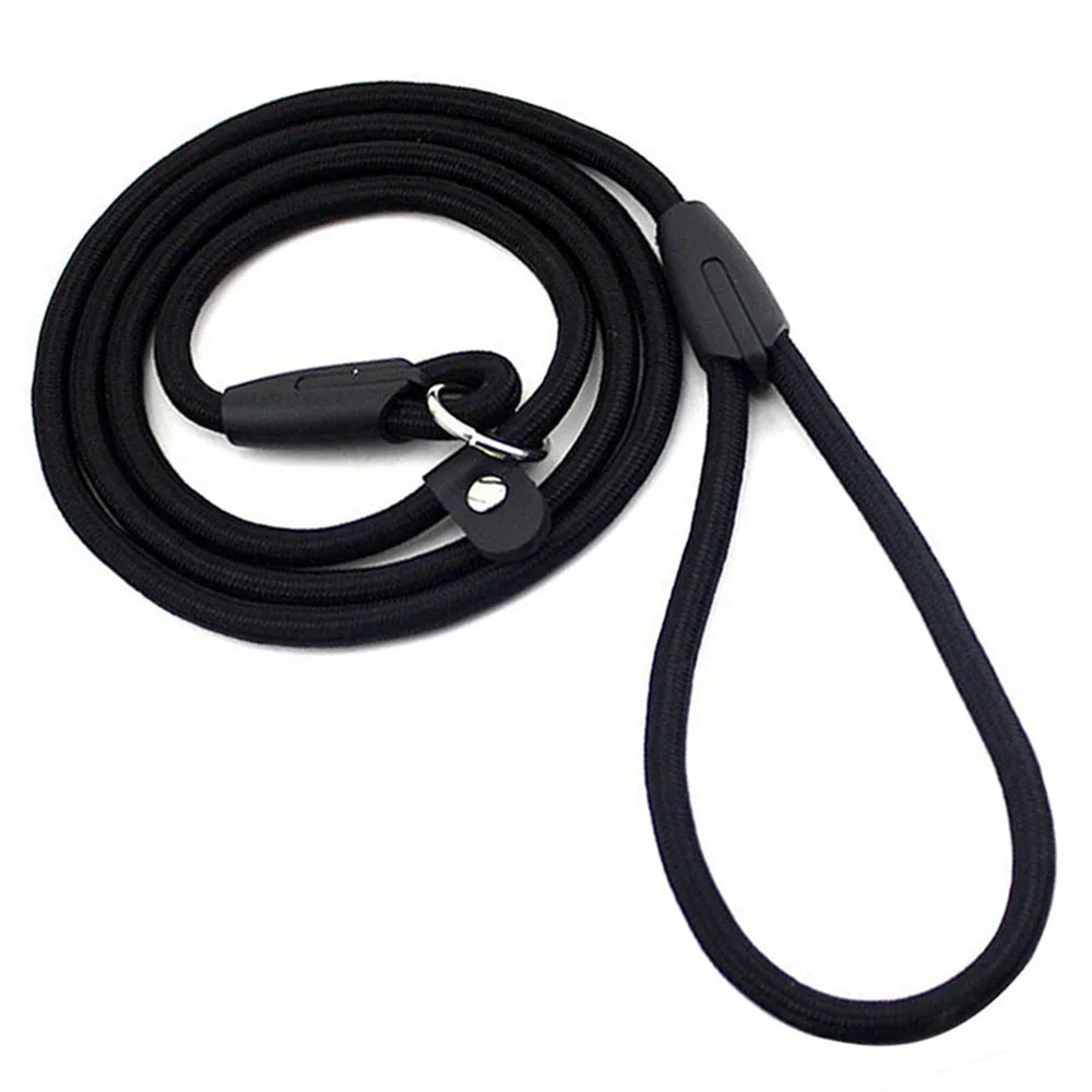 Slip Lead Dog Leash for Small Dogs – Anti-Choking P-Shaped Rope Leash for Puppy Training & Walking