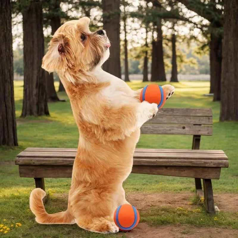 2pcs Orange Rubber Dog Balls – Durable Chew & Training Toys 🟠🐾