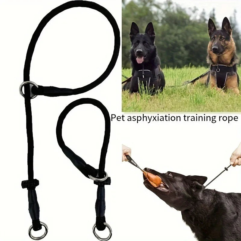 Polyester Dog Training Leash – Durable Adjustable Slip Loop Collar