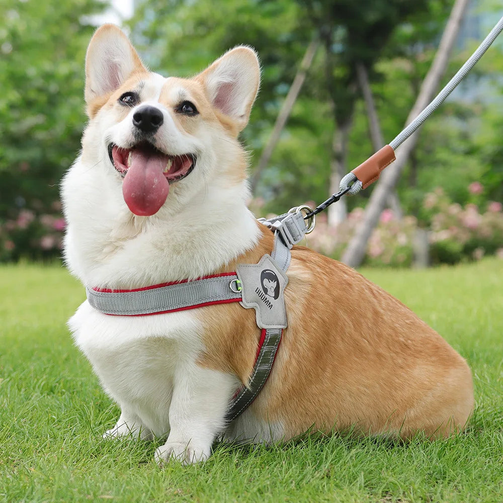🐶 Adjustable Reflective Mesh Dog Harness – Pet Vest for Small & Large Dogs and Cats