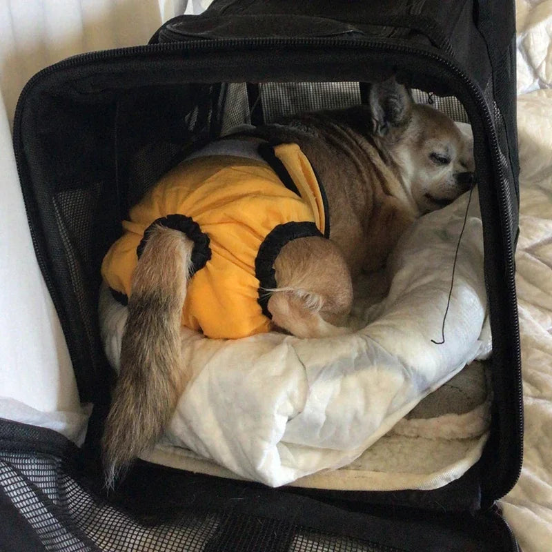 Reusable Pet Diapers – Washable Sanitary Pants for Female Dogs & Male Cats