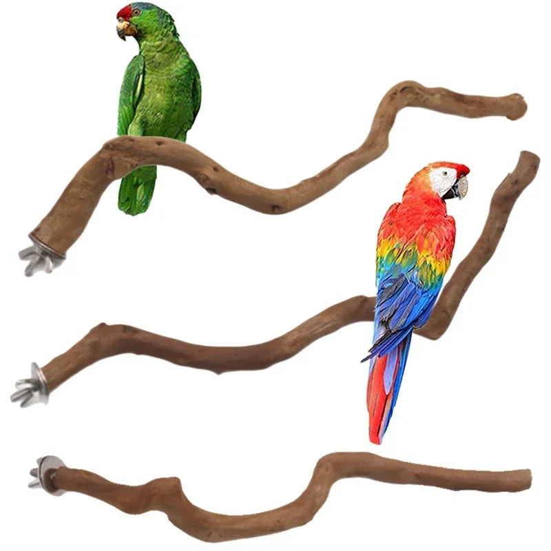 Natural Bird Perch Stand – Climbing & Paw Grinding Branch for Parrots