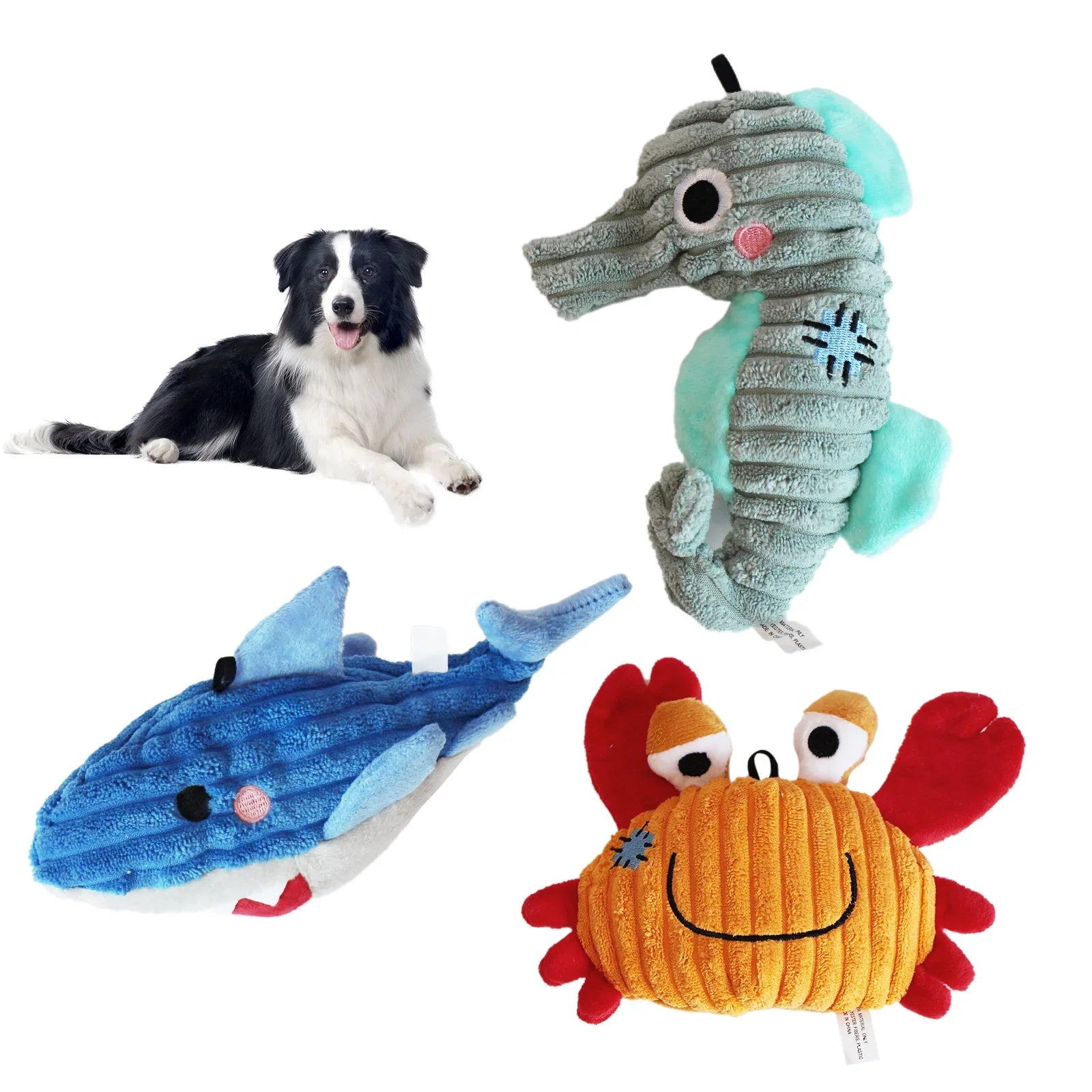 Ocean Plush Dog Toys – Soft Squeaky Toys for Puppies & Small Dogs 🐟🐾