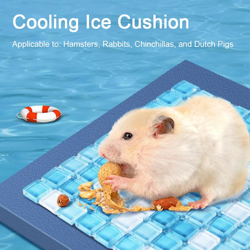 Summer Cooling Ice Mat for Small Pets – Heat Dissipation Pad for Hamsters, Rabbits, Chinchillas & Guinea Pigs