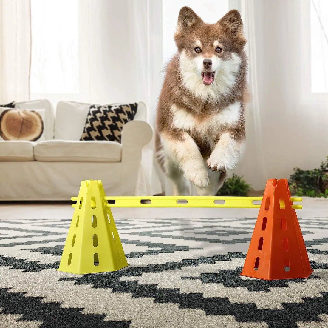 Dog Agility Training Equipment Set – Jumping Bar & Obstacle Course for Pet Exercise & Obedience Training