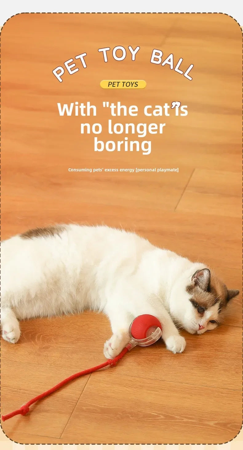 Smart Rolling Ball Toy – Rechargeable Interactive Toy for Cats & Dogs