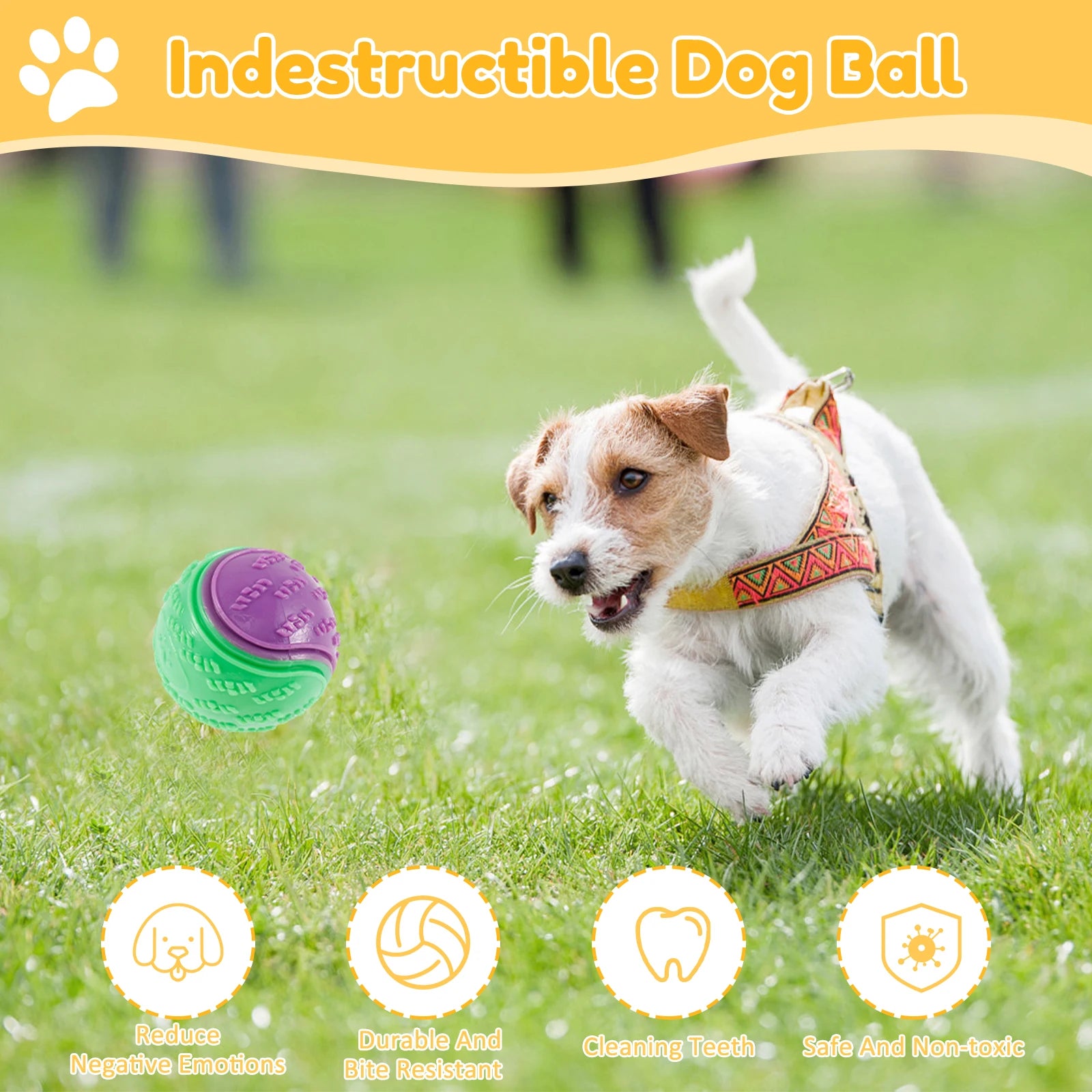 6PCS Squeaky Dog Balls – Interactive TPR Chew Toys for Dogs, Bite-Resistant & Teeth Cleaning Pet Toys