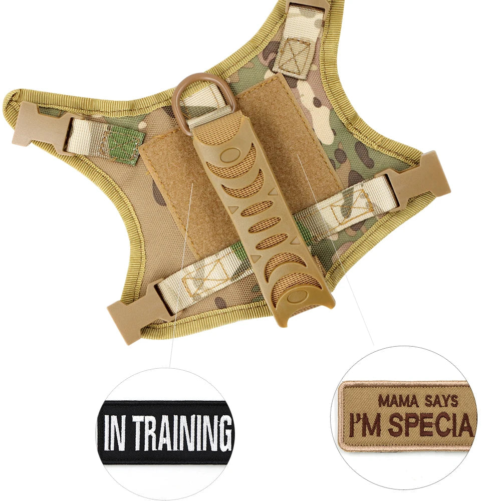 Tactical Cat Harness & Leash – Adjustable Vest for Cats, Kittens & Small Dogs